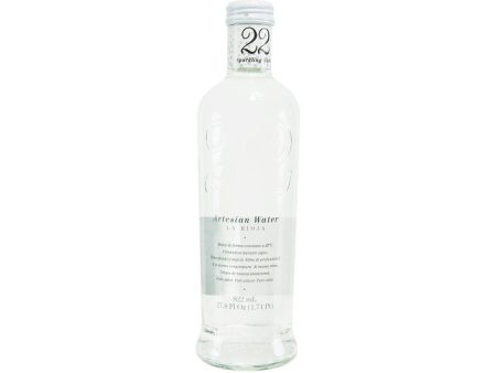 22 ARTESIAN WATER Sparkling Water  (822mL) For Discount